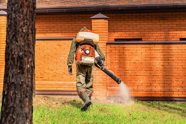 Cockroach Follow-Up and Monitoring in Alderwood Manor